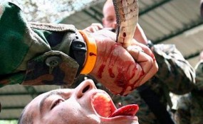 Soldados bebendo sangue de cobra