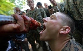 Soldados bebendo sangue de cobra