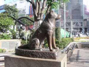 Estátua Hachiko