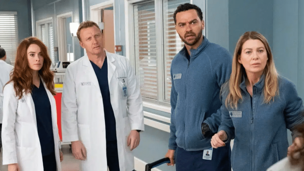 Grey's Anatomy: onde assistir online em streaming