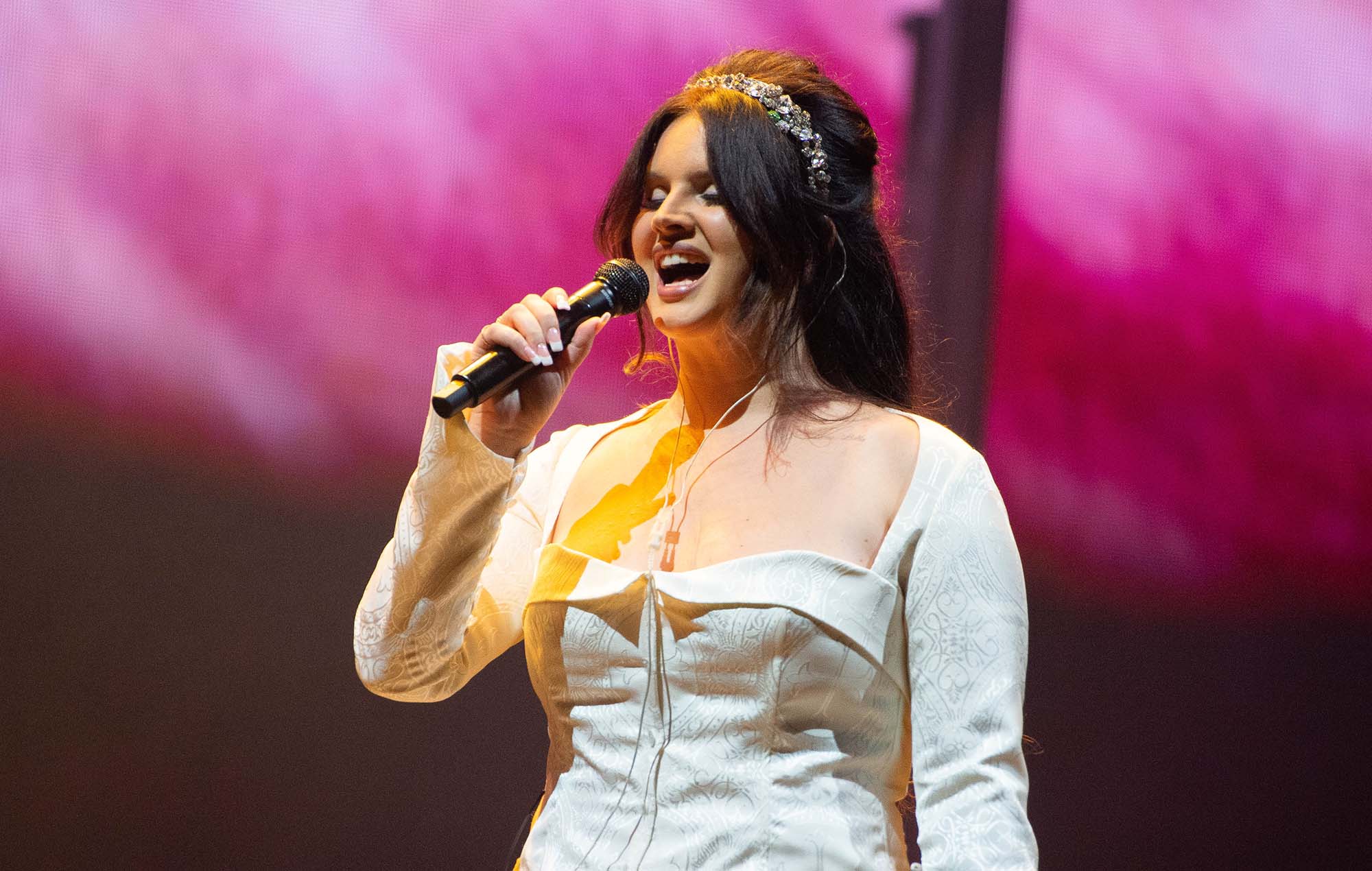 Lana Del Rey was forcibly removed from the stage by security