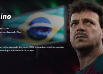 06.10 diniz