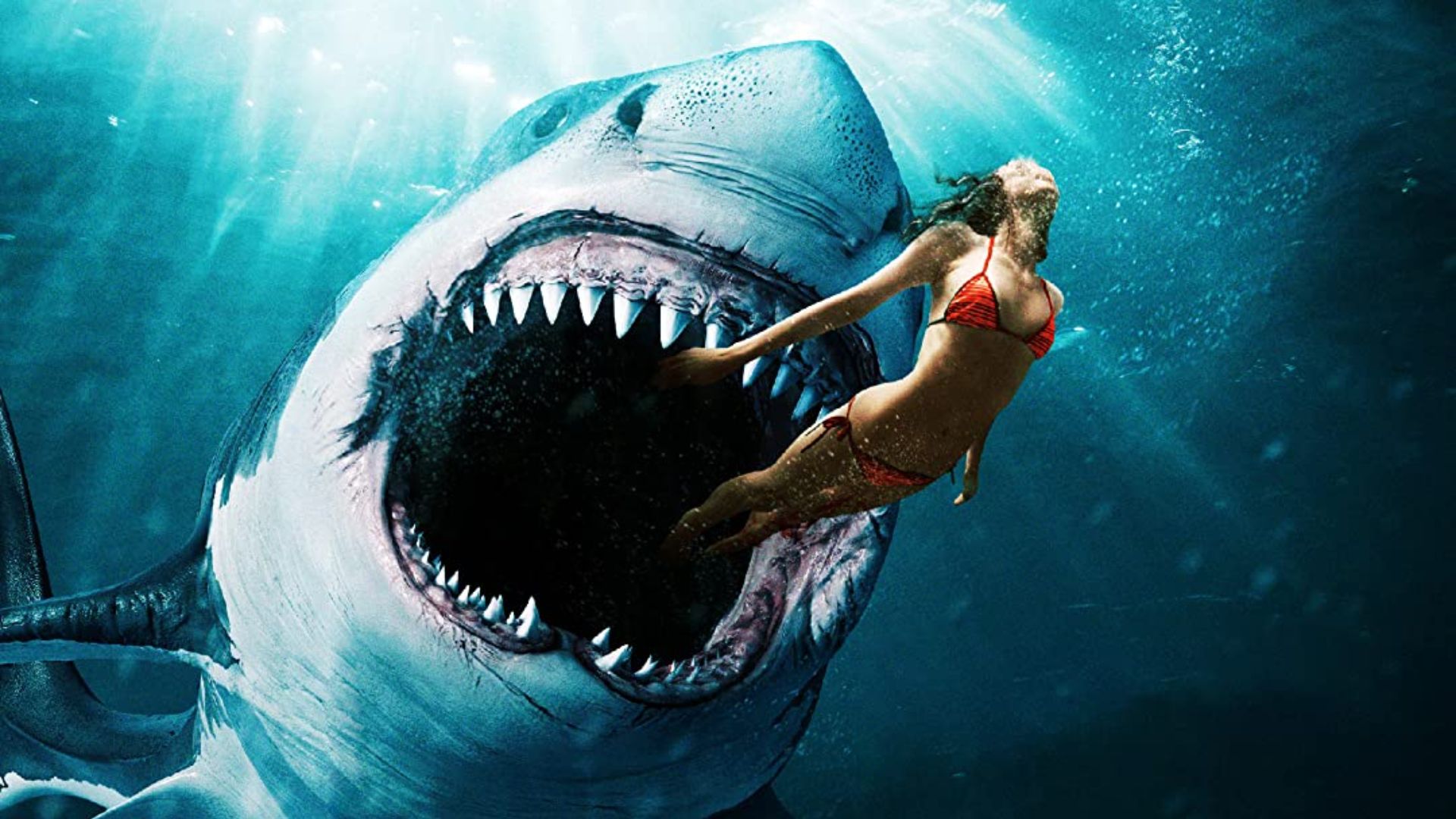 Filme com 30% de aprovação é o mais assistido da Netflix 1 tubarao mar de sangue sangue e sustos marcam o primeiro trailer do terror