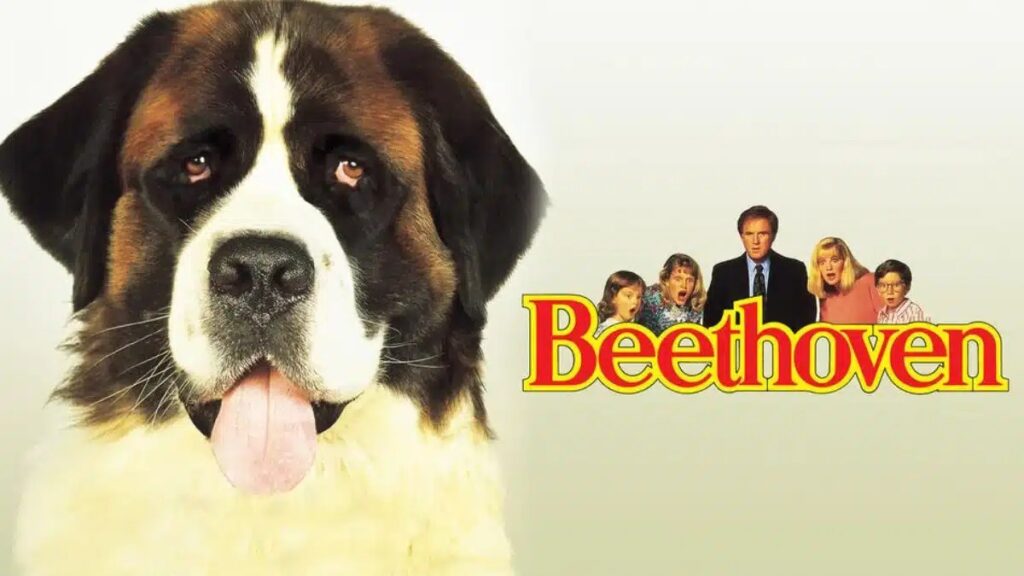Beethoven, O Magnífico tem na Netflix? Onde assistir?
