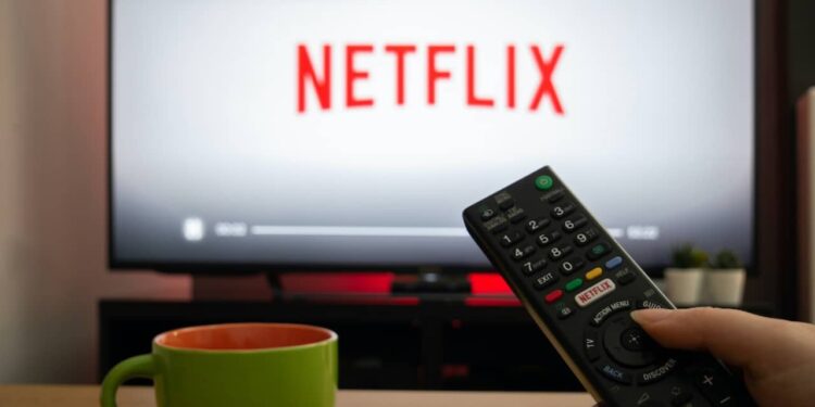 Lançamentos da semana na Netflix: estreia de 11 a 17 de novembro 1 netflix lancamentos semana