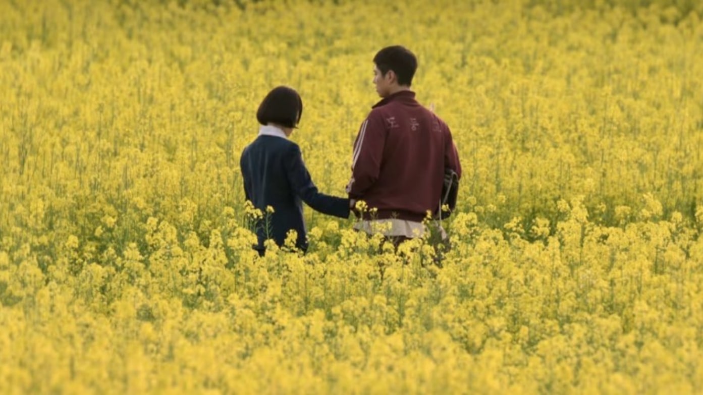 se a vida te der tangerinas dorama