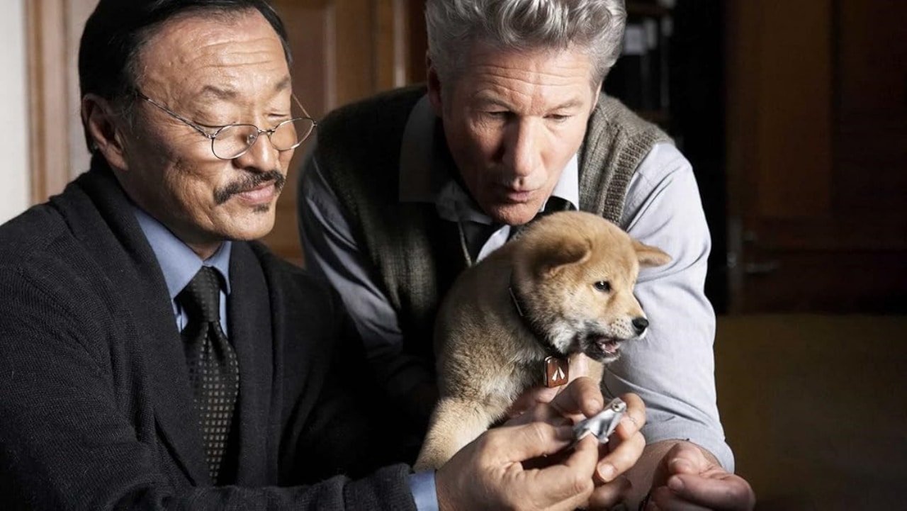 Sempre ao seu lado filme cachorro raca