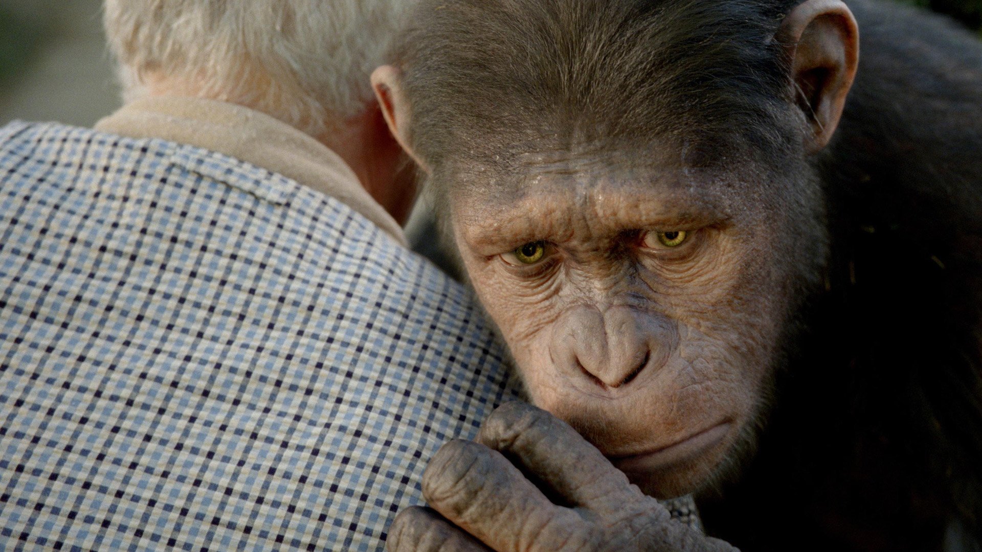 planeta dos macacos a origem filme final
