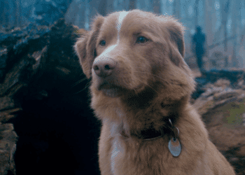 Créditos: Divulgação