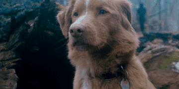 Bom Menino: filme tem cena pós-créditos? 13 Créditos: Divulgação