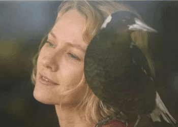 Créditos: Divulgação