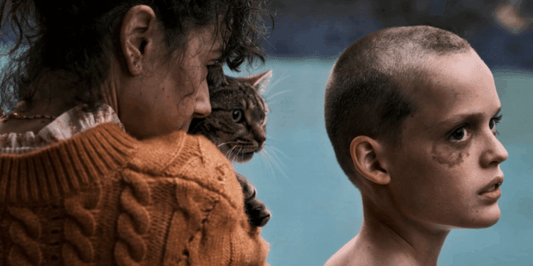 Créditos: Reprodução